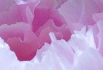 Preview - Click to zoom